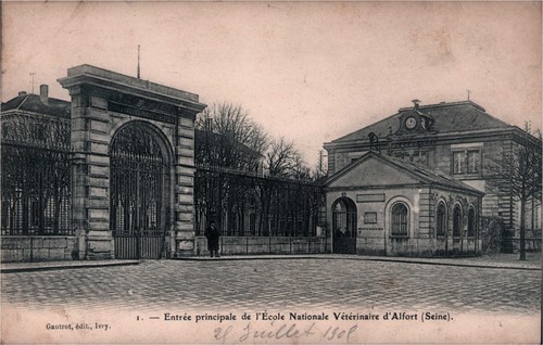 Cpa maisons alfort - maisons-alfort,
